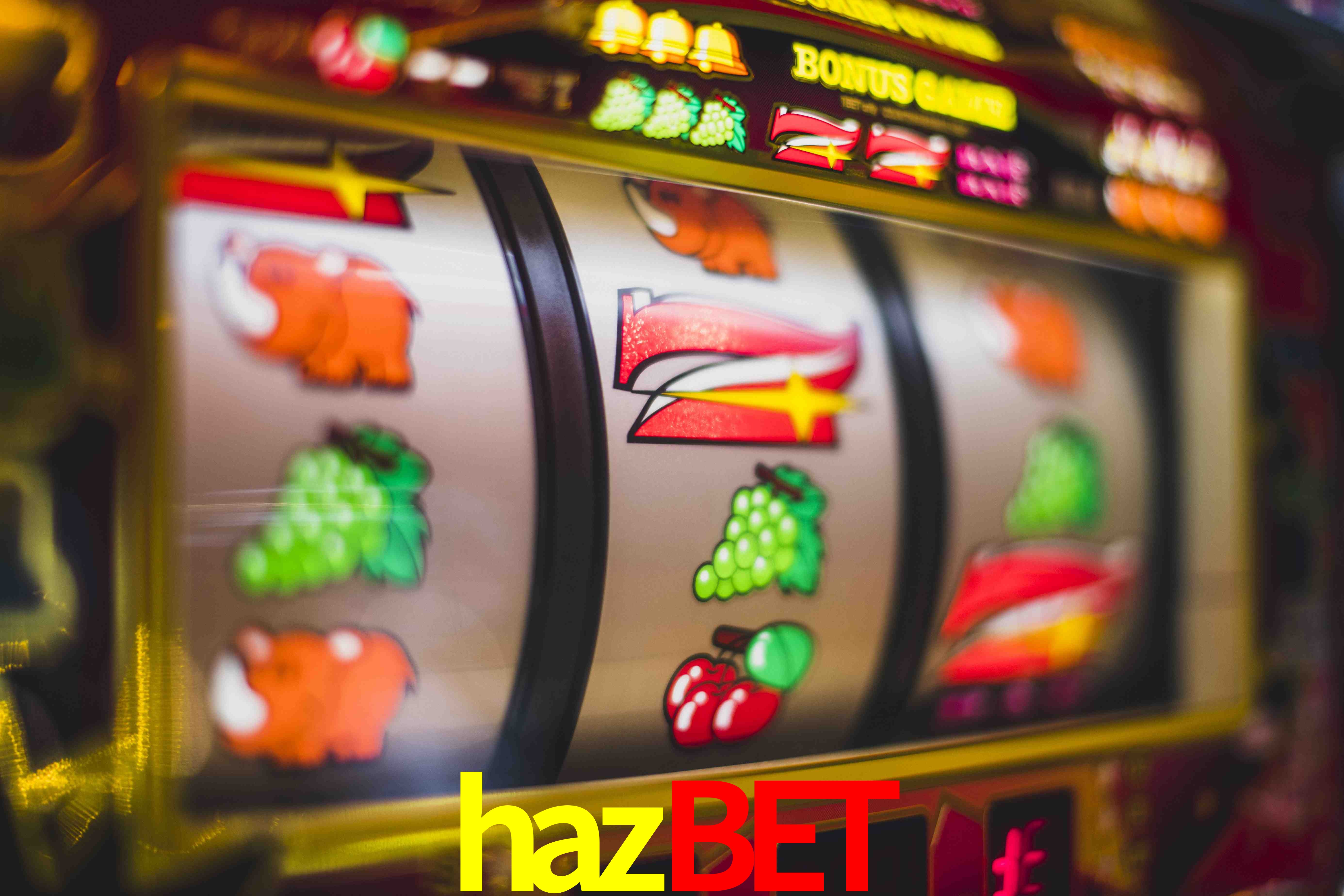 Tennis Betting hazbet